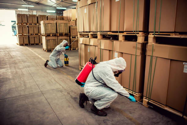 Best Affordable Pest Control Services  in Dellwood, MO