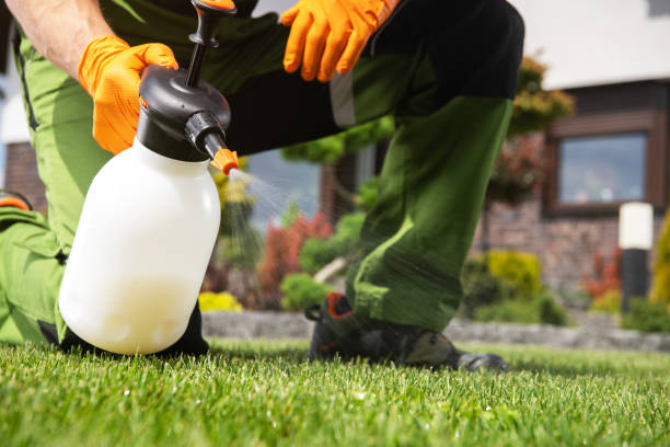 Best Pest Inspection Near Me  in Dellwood, MO
