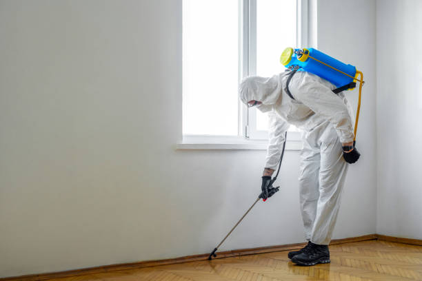 Best Best Pest Control Companies  in Dellwood, MO