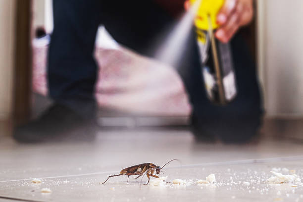 Best Rat Extermination Near Me  in Dellwood, MO