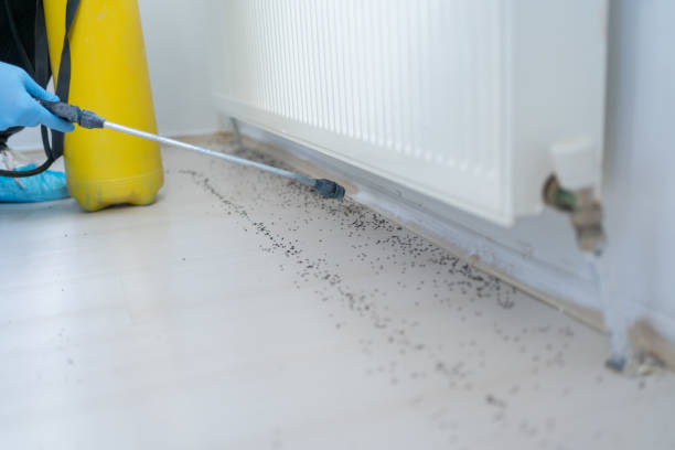Best Pest Removal Services  in Dellwood, MO